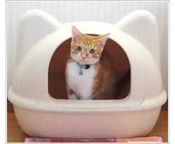 Maison de toilette pour chats iCat