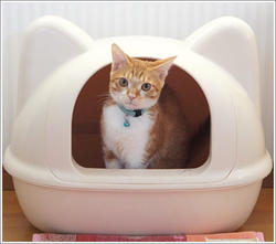 Maison de toilette pour chats 'iCat'