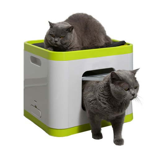 Cube La Maison De Toilette 2 En 1 Pour Chats