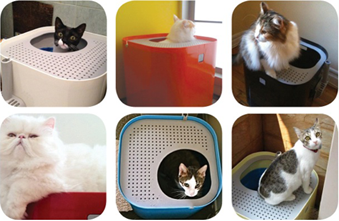 La Maison De Toilette Pour Chats A Acces Vertical Modkat