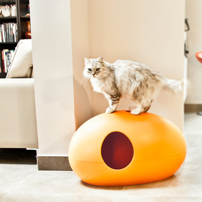 La Maison De Toilette Pour Chats Poopoopeedo