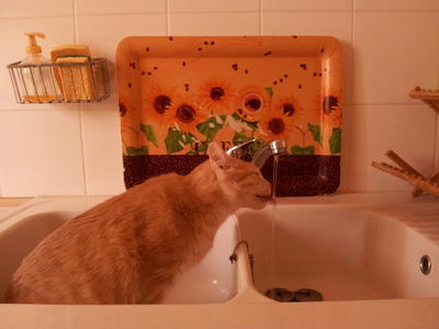 Graton par Charlotte