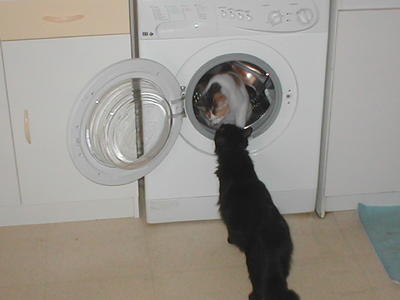 Praline par Charlotte